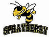 Sprayberry HS Sport Fundraisers this weekend