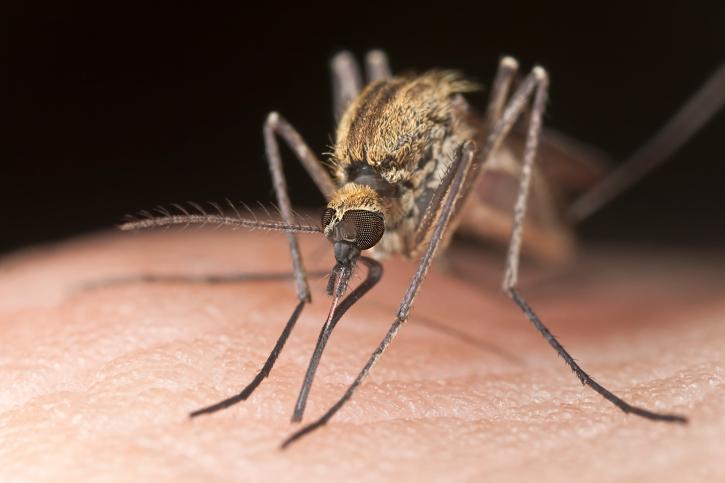 COBB PUBLIC HEALTH ENCOURAGES RESIDENTS TO PROTECT THEMSELVES AGAINST MOSQUITOES