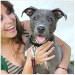 SPECIAL PET ADOPTIONS RATES THIS WEEK
