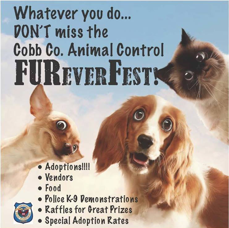 FUREVER FEST TO BE HELD MAY 14