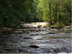 FRUGAL FUNMOM ACTIVITY OF THE DAY: HIKE AT SOPE CREEK
