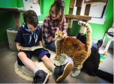 FRUGAL FUNMOM ACTIVITY OF THE DAY: READ TO CATS & KITTENS