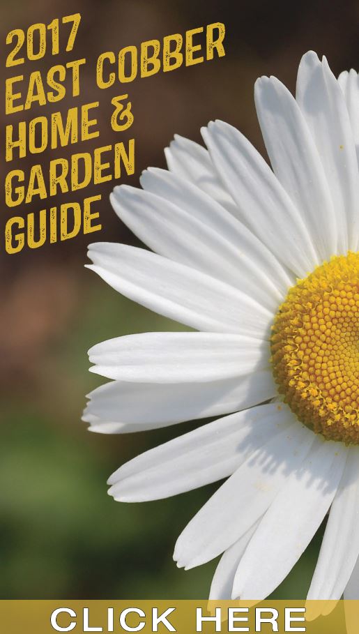 8th Annual Home & Garden Guide
