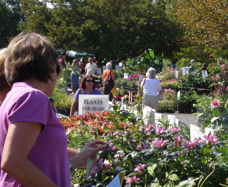 Master Gardeners Hold Garden Fair & Plant Sale this Weekend