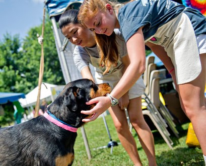 Cobb County Animal Control Shelter Hosts Annual Art-Barks and Purrs