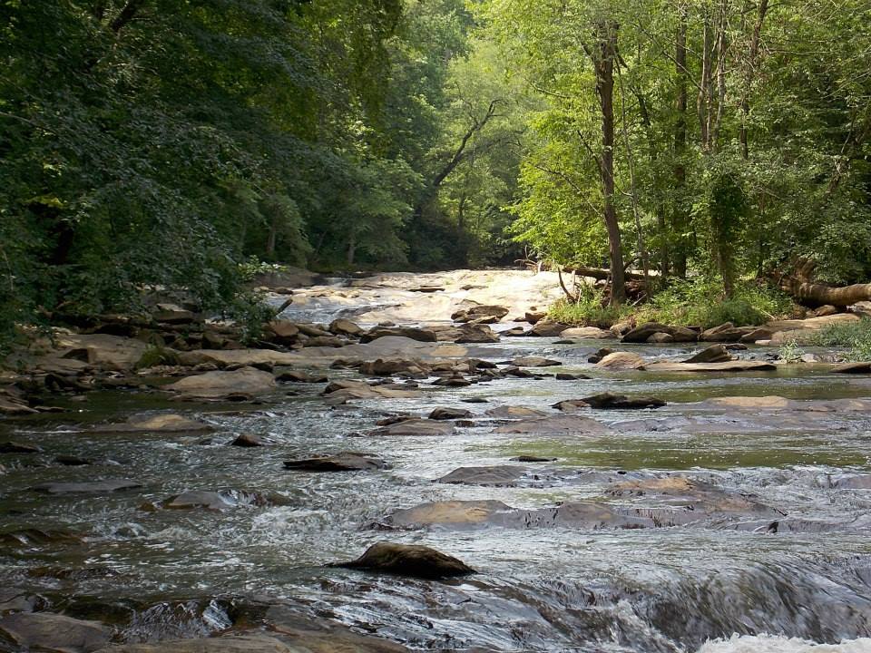 Frugal FunMom Field Trip of the Day for Thursday, July 6: Take a Hike at Sope Creek