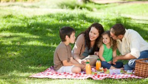 EAST COBBER Frugal FunMom Field Trip of the Day for Tuesday, July 18: Have an Indoor Picnic at Mountain View Library!