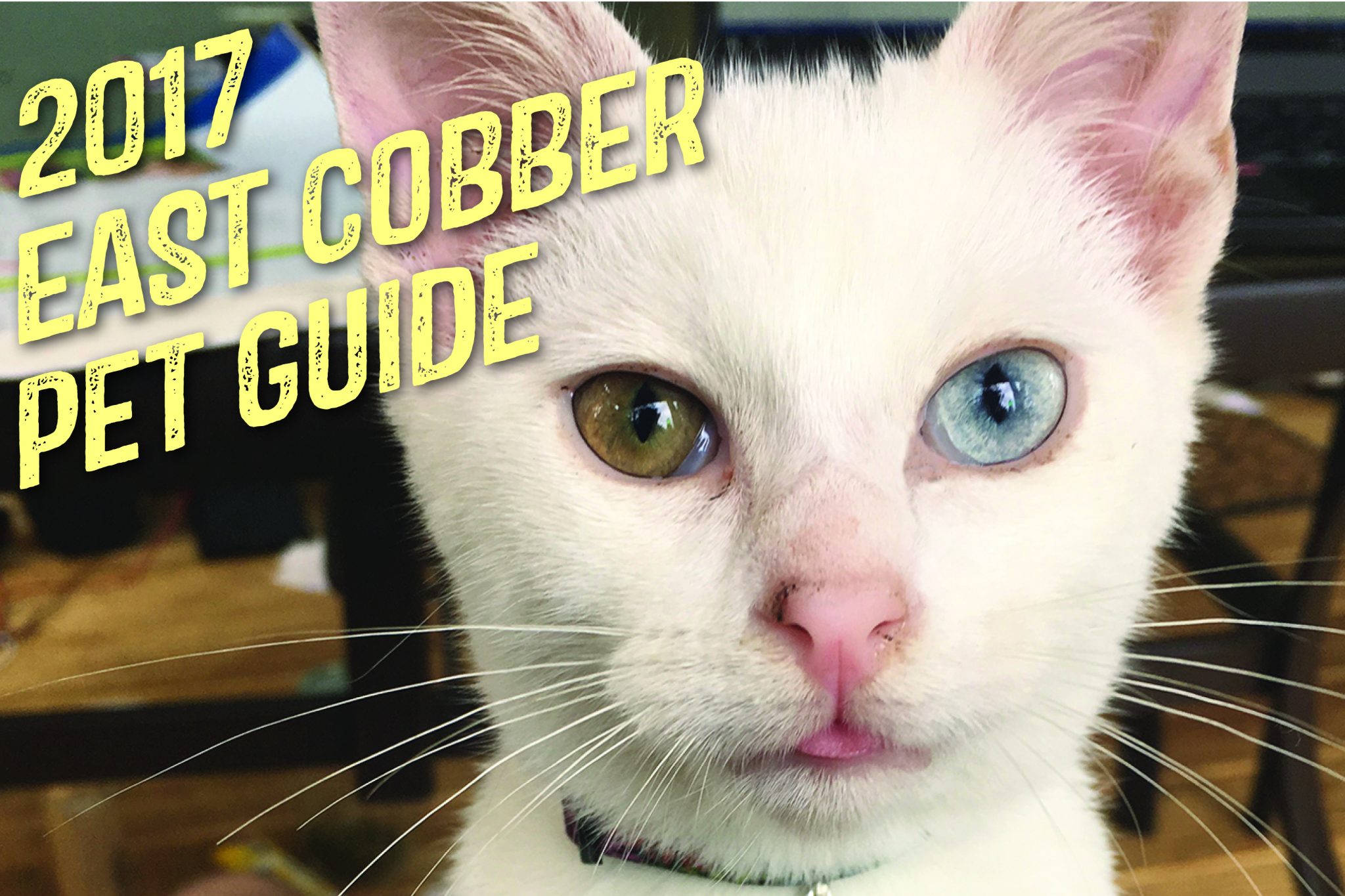 EAST COBBER is Proud to Announce Its 11th Annual Pet Guide 4