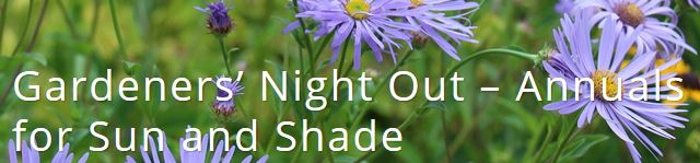 Gardener’s Night Out: Annuals for Sun and Shade