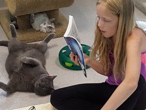 Good Mews Animal Foundation - Reading to Cats