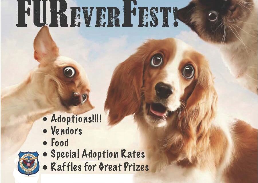 FURever Fest to be Held May 19