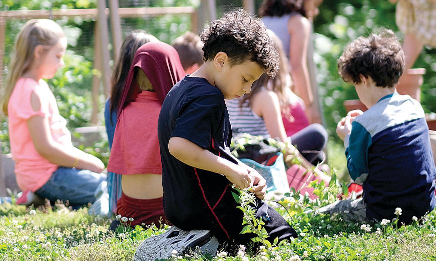 The Garden School Provides Nature-Based Education to Students