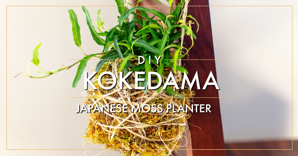 Gardencraft Series: Kokedama