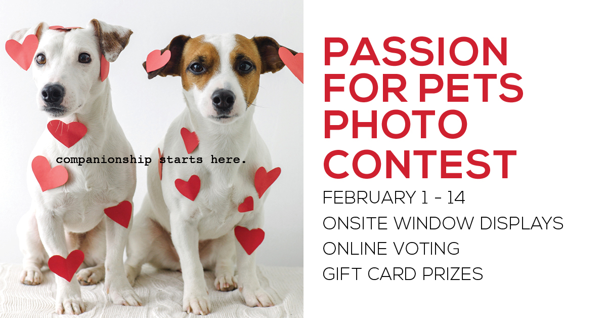 PASSION FOR PETS PHOTO CONTEST