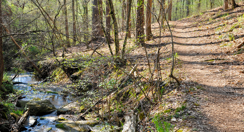 CHATTAHOOCHEE RIVER NATIONAL RECREATION AREA INVITES PUBLIC INPUT ON PRELIMINARY TRAILS MANAGEMENT PLAN