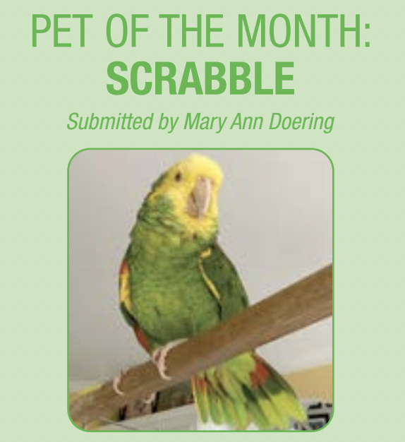 PET OF THE MONTH: SCRABBLE
