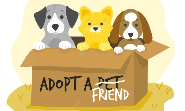 ADOPT A PET FROM COBB COUNTY