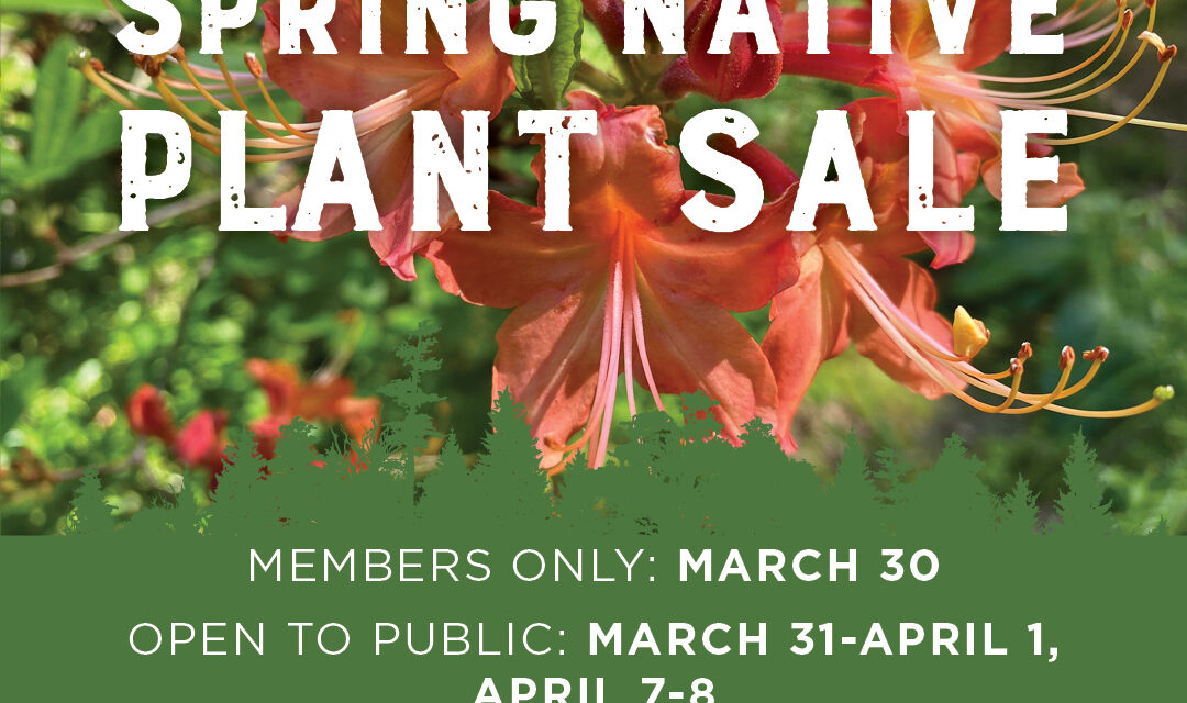 Ready, Set, Grow! CNC’s Annual Spring Native Plant Sale