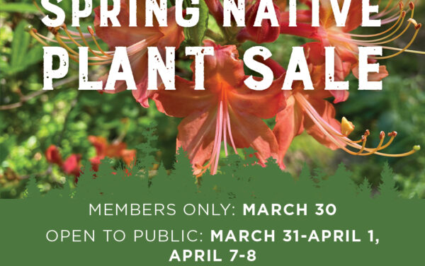 Ready, Set, Grow! CNC’s Annual Spring Native Plant Sale