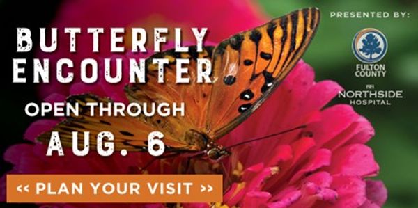 The 10th Annual Butterfly Encounter Returns to the Chattahoochee Nature Center Presented by Fulton County and Northside Hospital