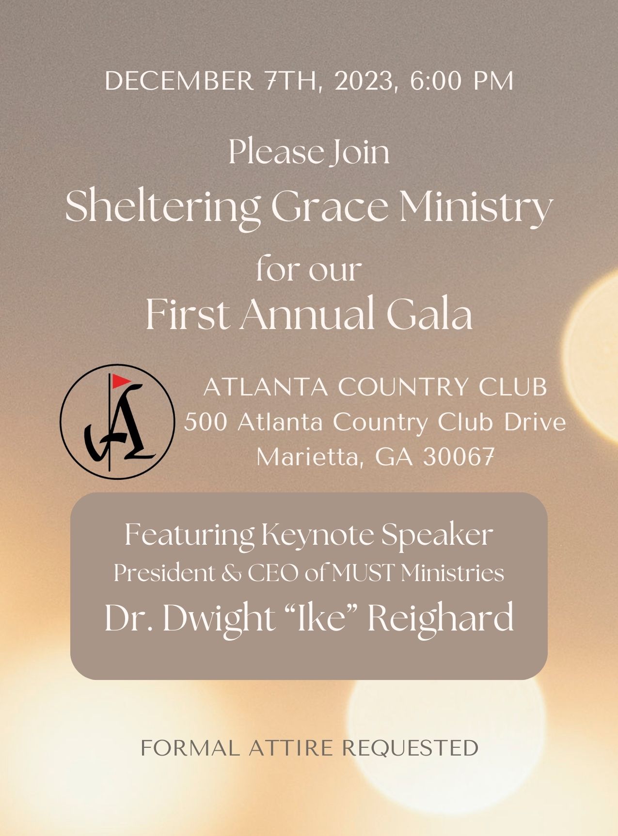 Sheltering Grace Ministry Holiday Gala