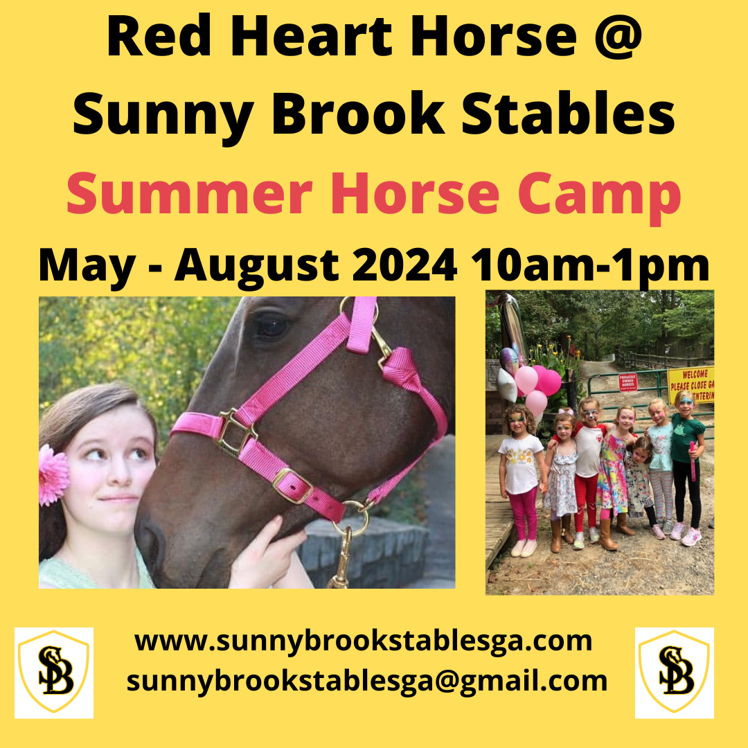 Red Heart Horse @ Sunny Brook Stables Summer Horse Camp | EAST COBBER