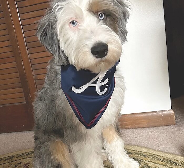 PET OF THE MONTH: LEO 