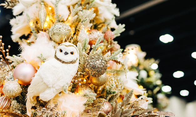 GET READY TO SHINE AT THE GEORGIA  FESTIVAL OF TREES!