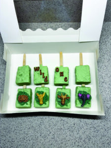 SWEET SUCCESS: A TEEN  ENTREPRENEUR TURNS PASSION INTO BUSINESS 2