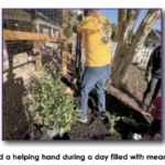 A DAY OF SERVICE,  A LIFETIME OF IMPACT