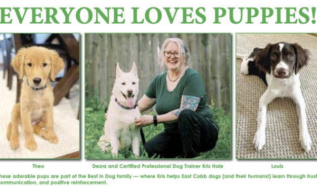EVERYONE LOVES PUPPIES!
