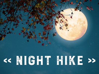Family Night Hike 1