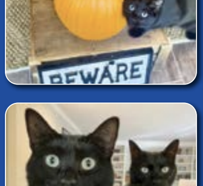 PETS OF THE MONTH: FREDDIE & MURRAY